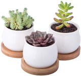 Ceramic Planter Pots Set of 3