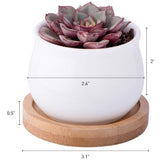 Ceramic Planter Pots Set of 3