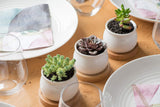 Ceramic Planter Pots Set of 3