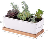 Small White Ceramic Succulent Planter Pot