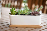 Small White Ceramic Succulent Planter Pot