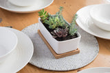 Small White Ceramic Succulent Planter Pot