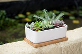 Small White Ceramic Succulent Planter Pot
