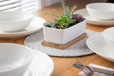 Small White Ceramic Succulent Planter Pot